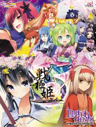 Sengoku Hime 5 ~Senka Tatsu Haou no Keifu~